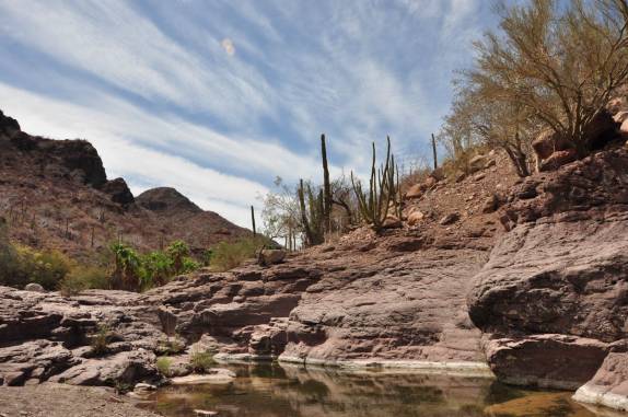 Pequeno oásis no deserto entre Loreto e a missão San Francisco Xavier, na Baja California - México